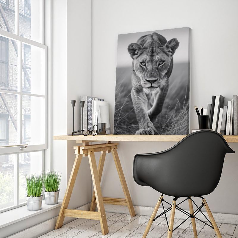 Generic Lioness Canvas Posters Room Aesthetics Boys Bedroom Sports Office Decoration Gifts Wall Art Decoration Printing Posters 24x36inch(60x90cm), Un