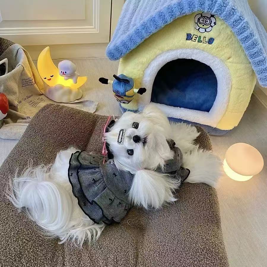 T00240 Pet autumn and winter clothes dog spring and summer vest warm highland two-legged bear Maltese cute small skirt