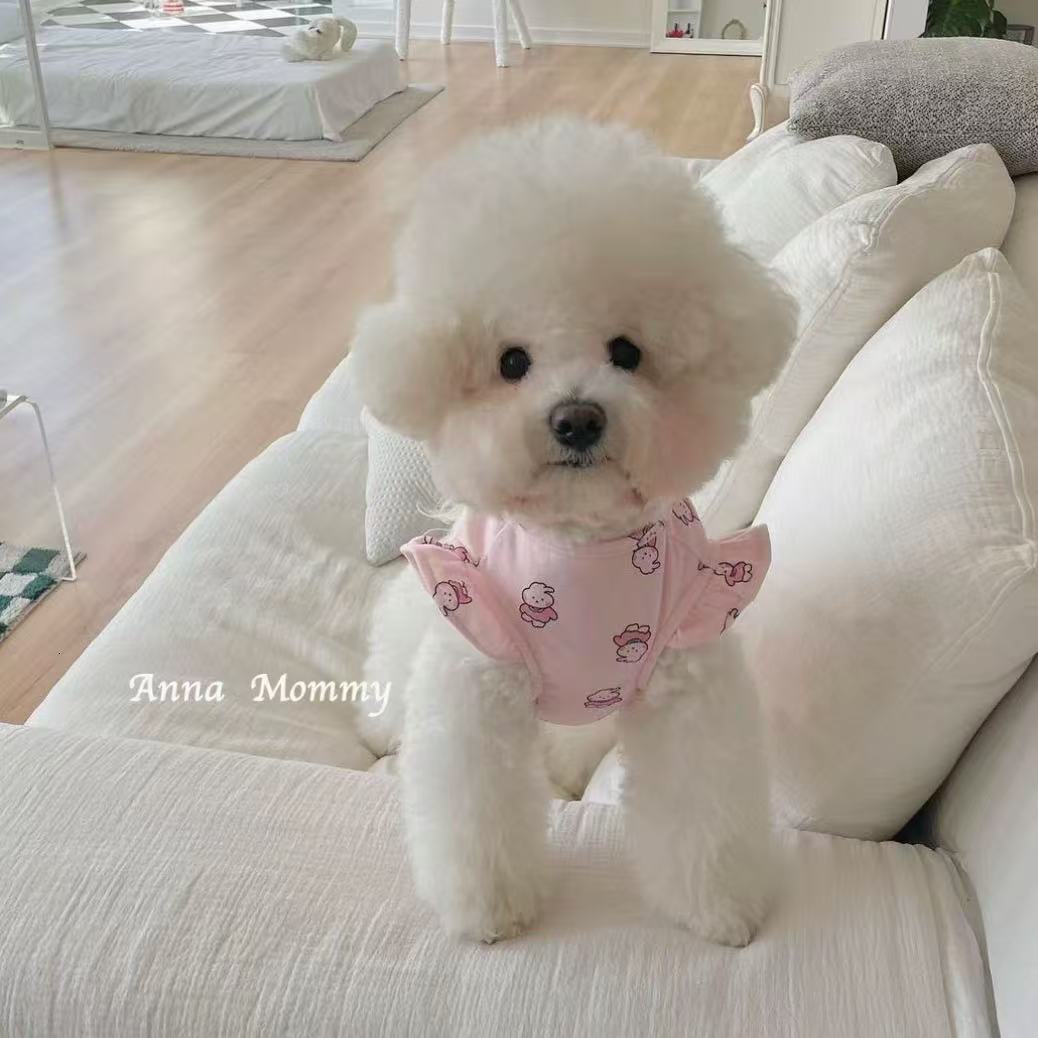 T00239 Teddy skirt puppy summer clothes pet small puppy Bichon Pomeranian Yorkshire cat spring and summer thin