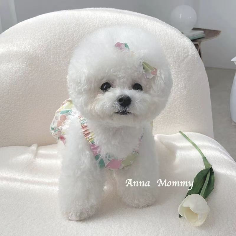T00235 Dog clothes pet spring and summer floral suspender dress Teddy Bichon Pomeranian small puppy cat cute