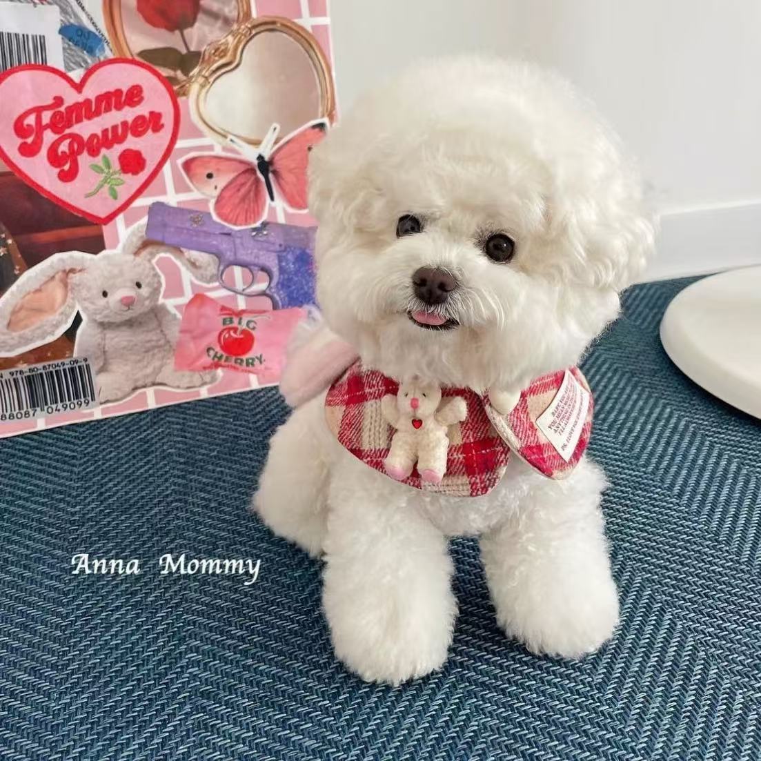 T00237 Cat and dog clothes spring and summer pet British shorthair blue cat anti-hair loss breathable sunscreen traction Teddy Bichon vest