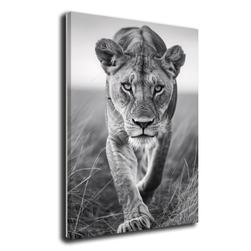 Generic Lioness Canvas Posters Room Aesthetics Boys Bedroom Sports Office Decoration Gifts Wall Art Decoration Printing Posters 24x36inch(60x90cm), Un