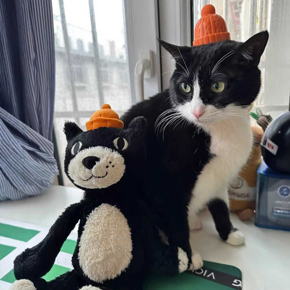 Plush Dolls Cute Lucky Cat Black Jellyscat Plush Toy Cute Large Doll Sleeping Doll Activity
