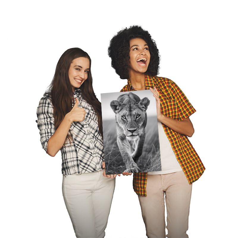 Generic Lioness Canvas Posters Room Aesthetics Boys Bedroom Sports Office Decoration Gifts Wall Art Decoration Printing Posters 24x36inch(60x90cm), Un