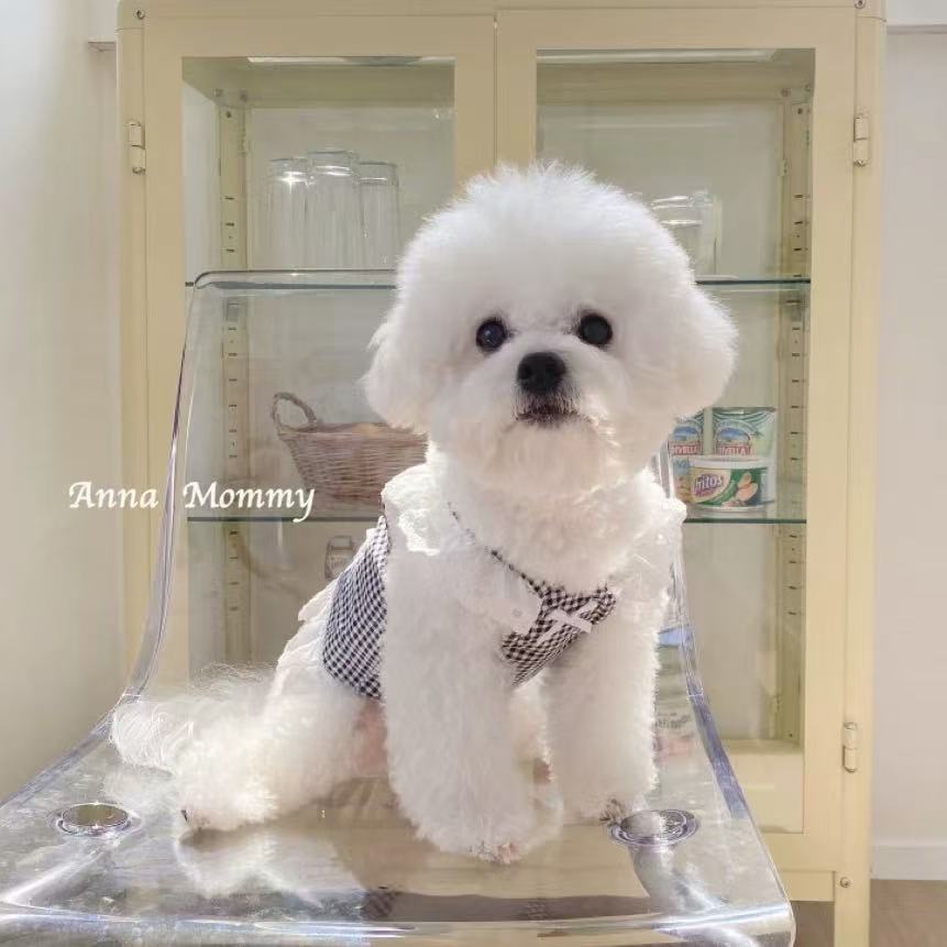 T00236 Dog clothes small dog pet spring and autumn striped bottoming home clothes Teddy Bichon autumn four-legged traction clothes