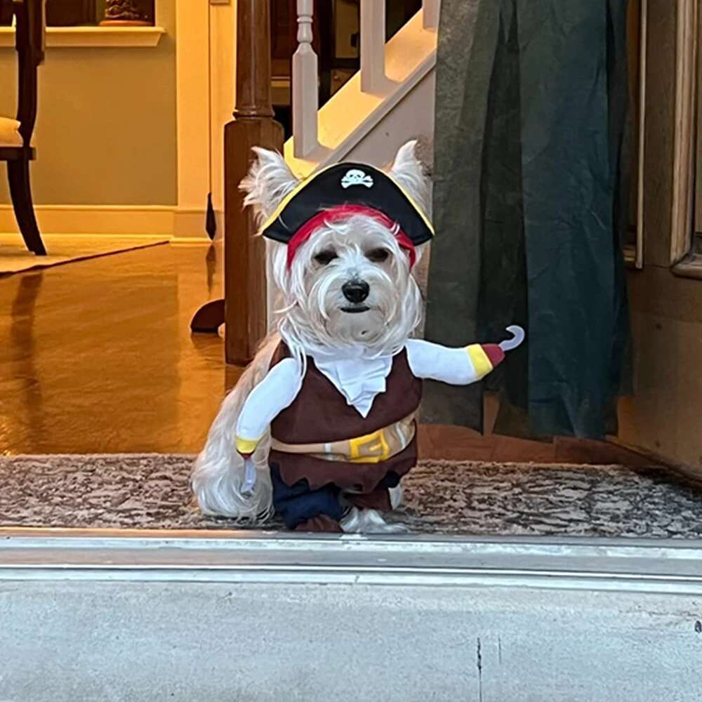 Puppy Novelty Clothes Funny Cat Cosplay Pirate Costume For Small Medium Dogs Cats Halloween Creative Dog Pet Supplies Pug