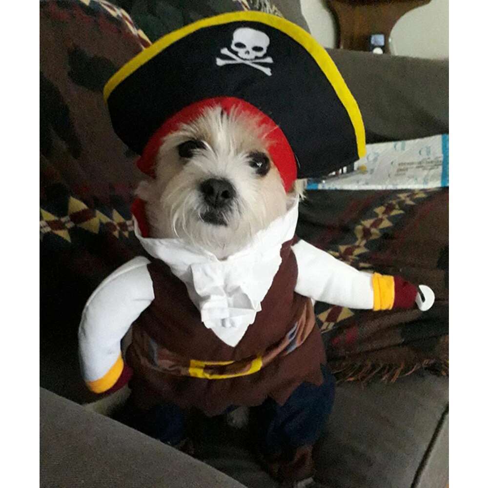 Puppy Novelty Clothes Funny Cat Cosplay Pirate Costume For Small Medium Dogs Cats Halloween Creative Dog Pet Supplies Pug