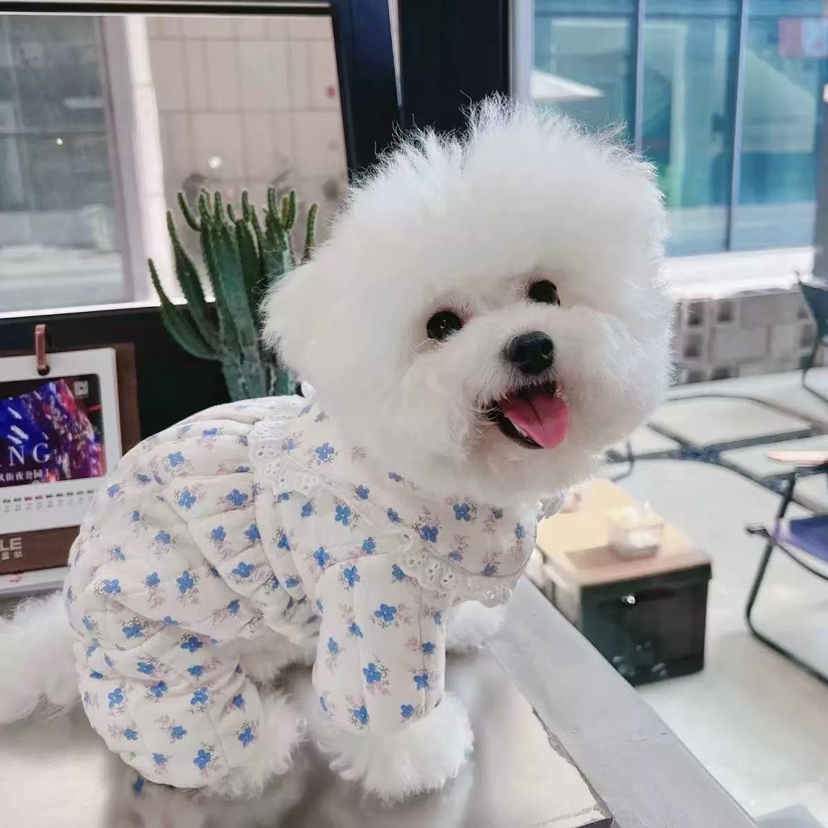 T00241 ElegantCanine Couture Collection Charming Flower Design Winter Outfit for Puppies
