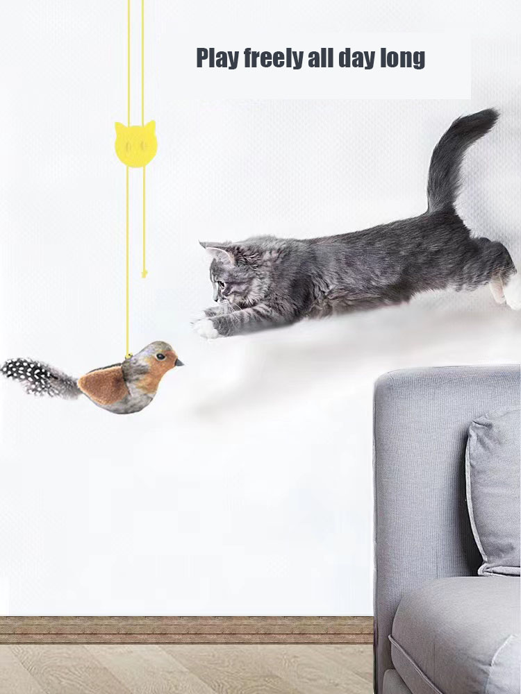 GiGwi is a cat toy that helps cats relax and enjoy themselves. It simulates the sounds of birds and can call pets Electric toys