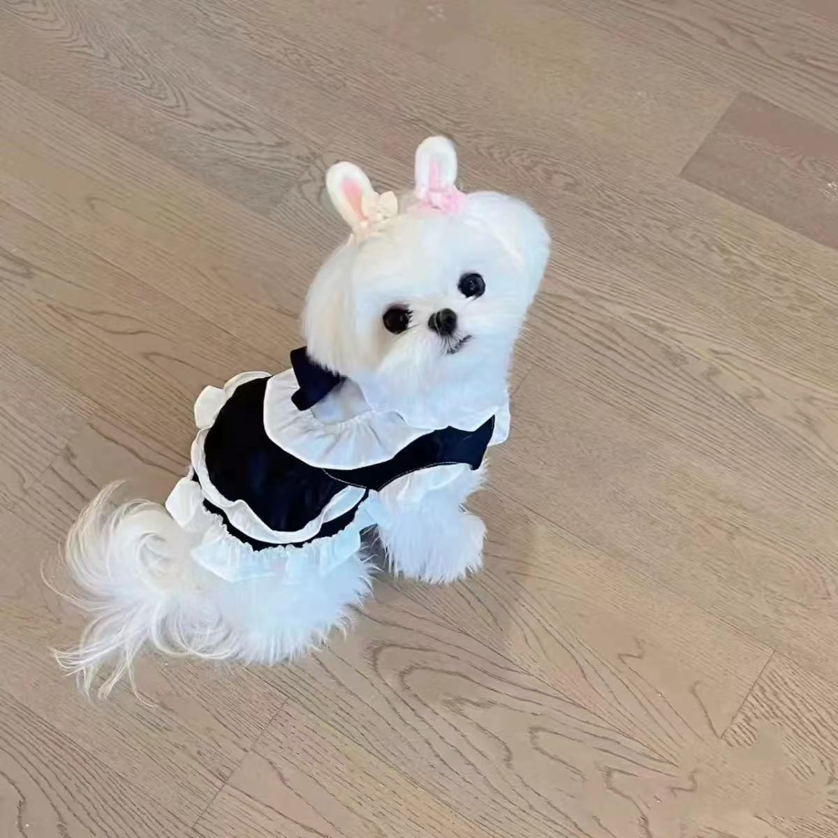 T00245 New Year's Eve Autumn and Winter New Double-sided Plush Thickened Cardigan Vest Teddy Bichon Dog Cat Plush Jacket