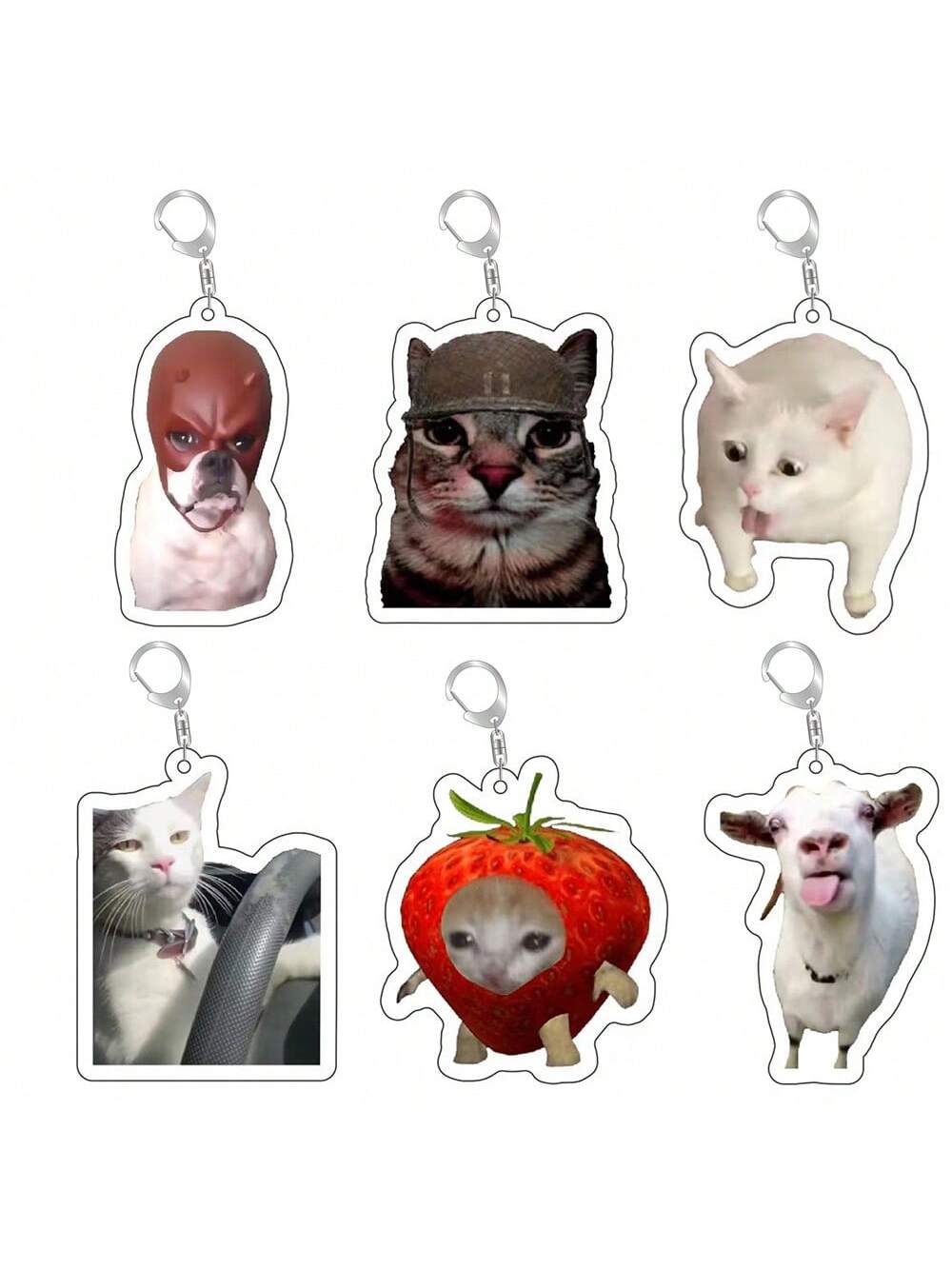 Chattura Chatta Chatte Chande Chilche Pendant Cinetto Catto Vomit Doge DI Meme …