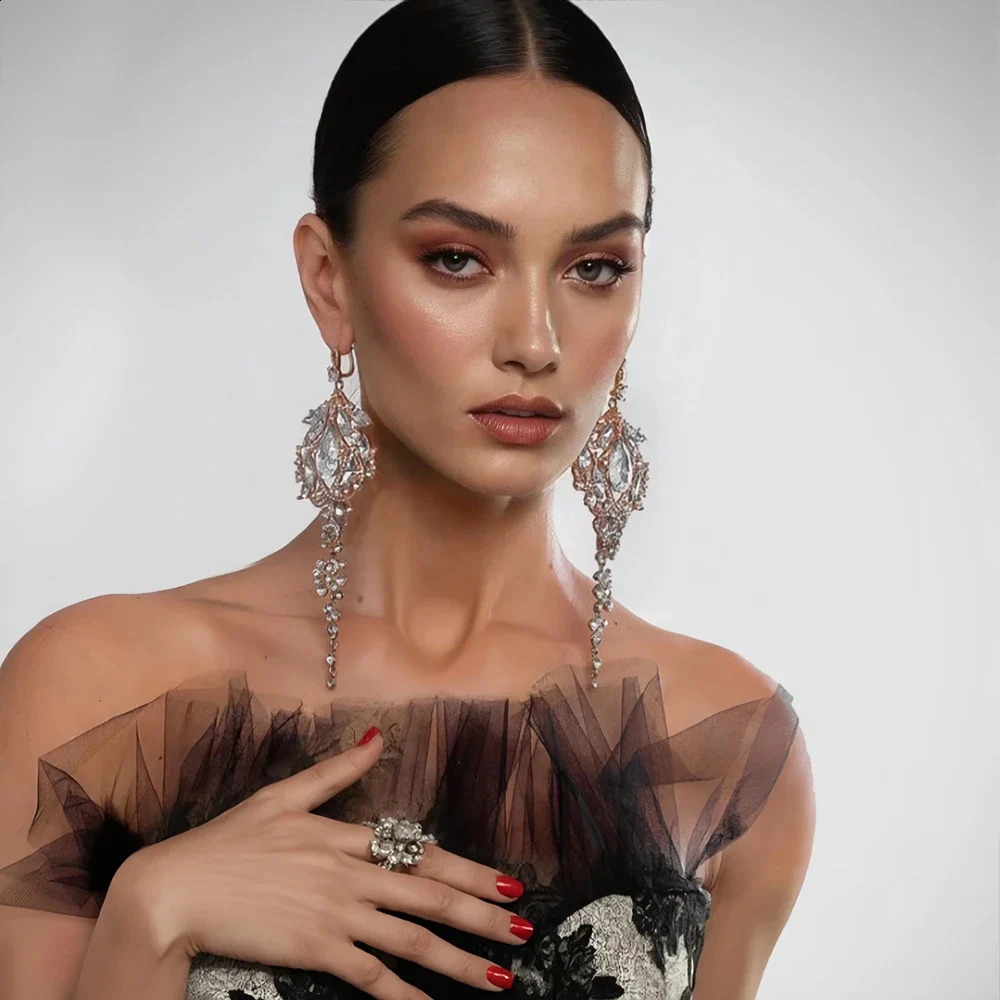 Stonefans Rhinestone Exaggerated Dangle Earrings for Women Wedding Gift 2024 Trendy Bridal Crystal Statement Earrings Banquet 250519