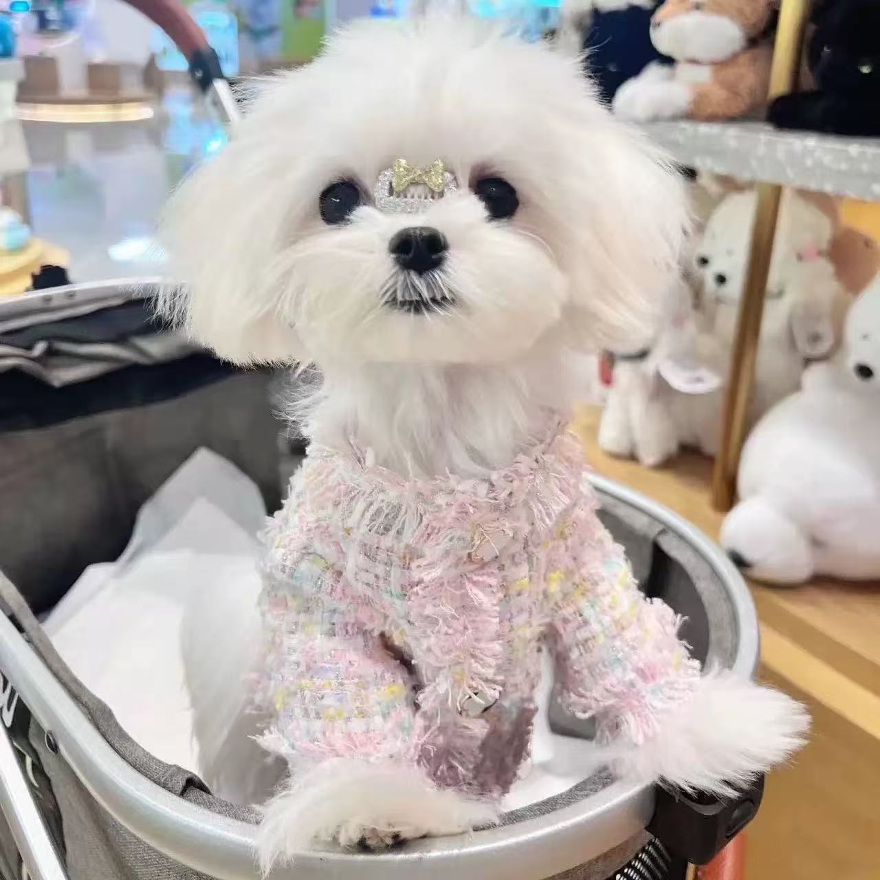 T00246 Pet Dog Cat Clothes Butterfly Wings Rainbow Fairy Small and Medium Dog Teddy Bichon Princess Gauze Skirt