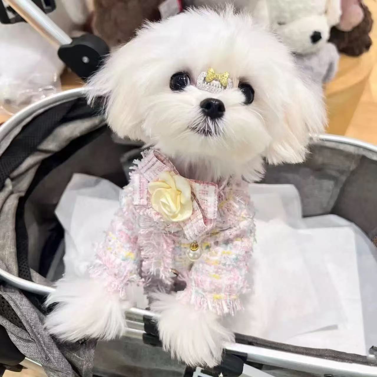 T00246 Pet Dog Cat Clothes Butterfly Wings Rainbow Fairy Small and Medium Dog Teddy Bichon Princess Gauze Skirt