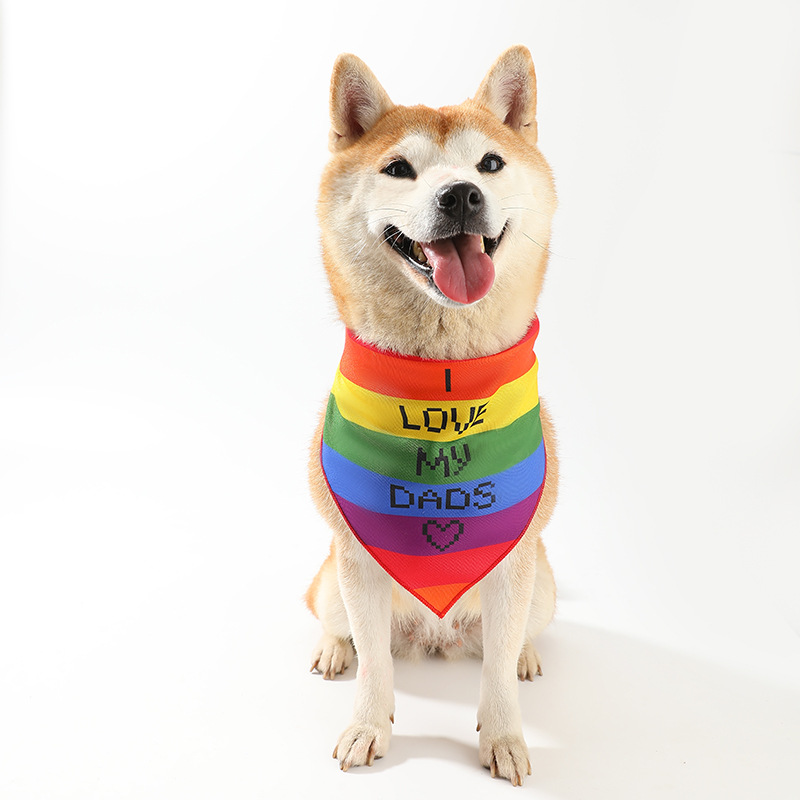 New Rainbow Stripe Pet Bandana for Small to Medium Cats and Dogs LGBT