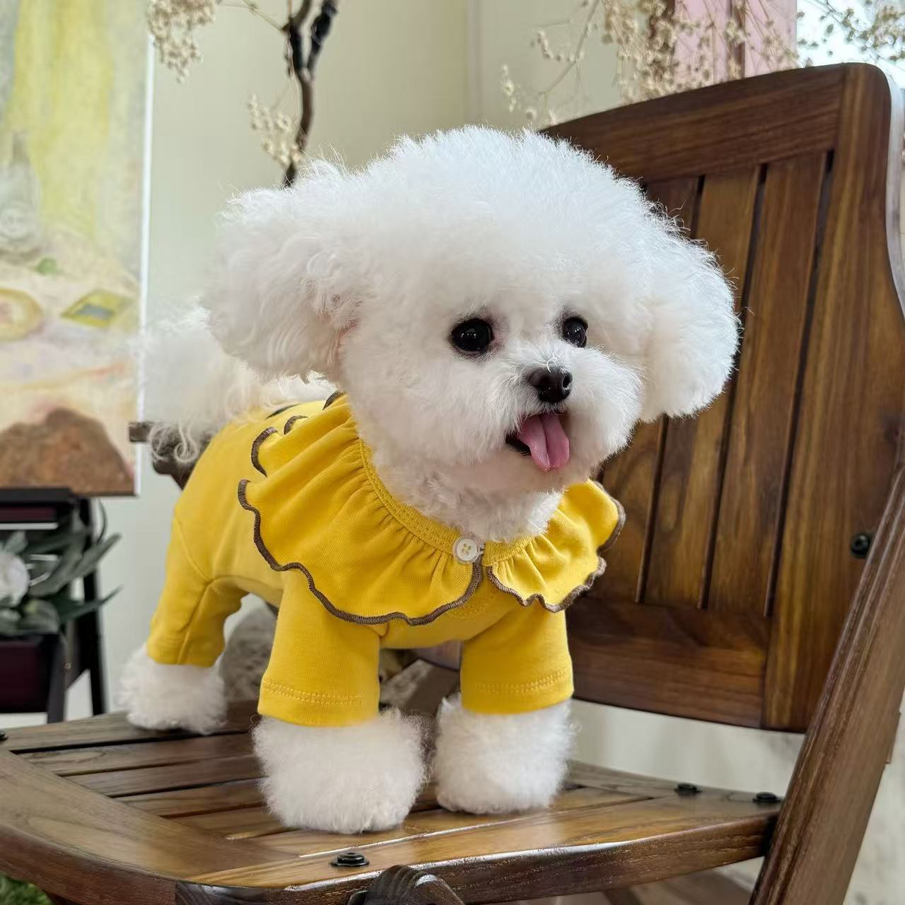 T00243 Dog clothes spring and autumn thin pet four-legged overalls Teddy Pomeranian Bichon Poodle puppy traction jumpsuit