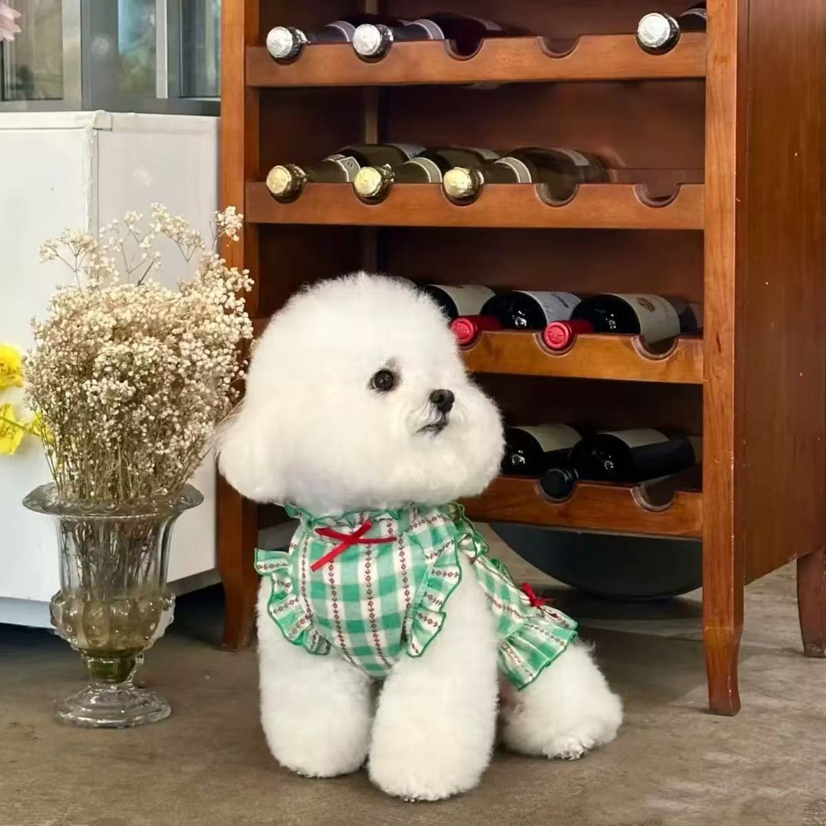 T00244 Summer puff sleeve plaid shirt pet clothes princess dress home clothes teddy bear pomeranian cat clothing