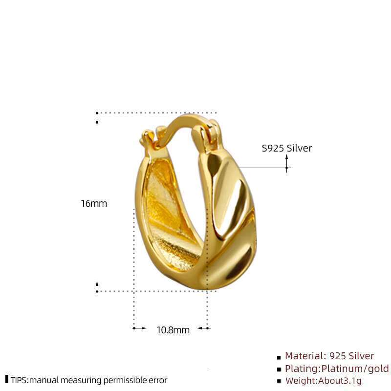 style jewelry and accessories, gold-plated pure sier geometric hoop earrings, women's thick earrings