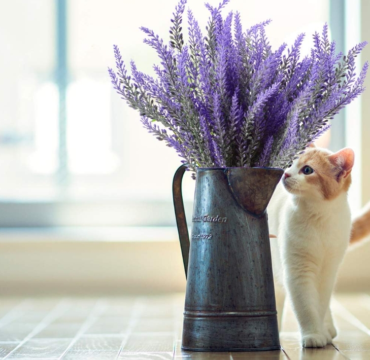 Wedding Purple Lavender High-end Simulation of Planting Hair Pastoral Style Decoration Bunch of Immortal Flowers