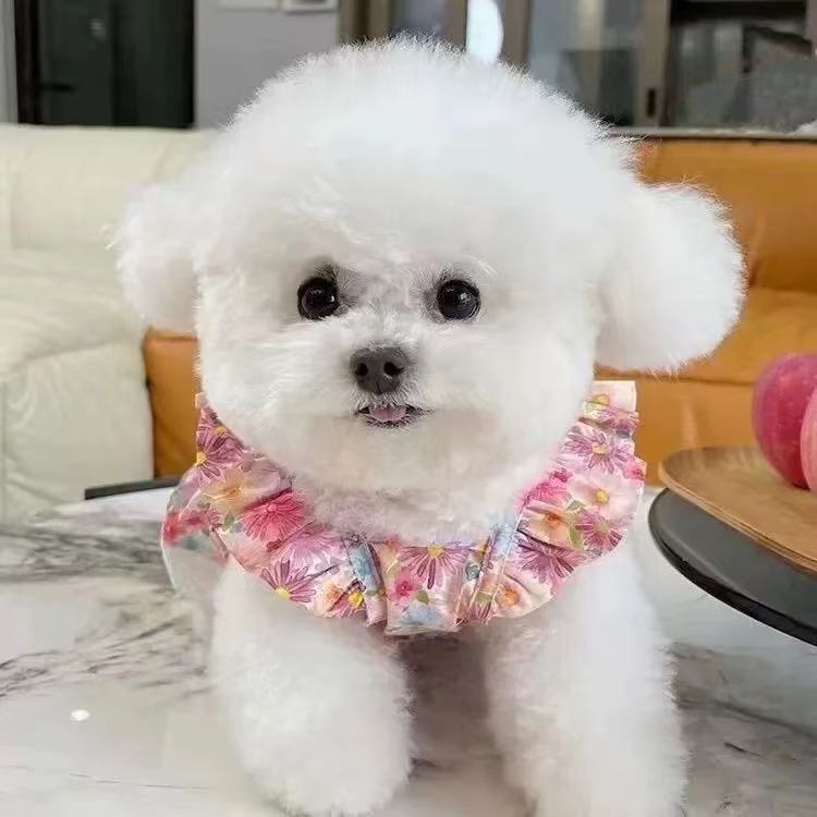 T00251Pet clothes spring and summer new red plaid bow princess dress Teddy Bichon dog cat thin sling