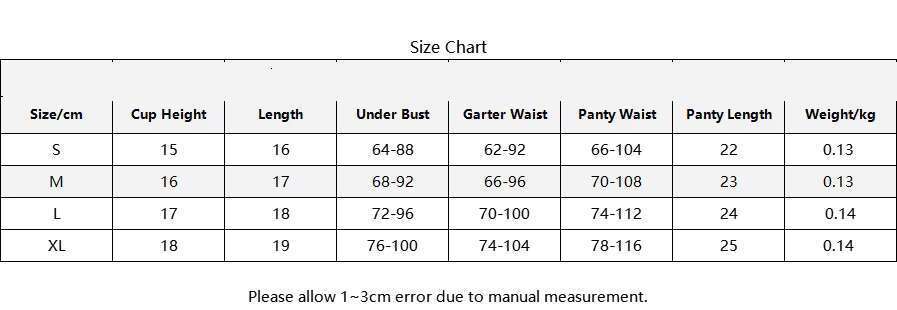 Chuangerm Oem/Odm 2025 Hot Selling Women's Mesh Embroidery Hollow Out See-Through Pure Desire Temptation 4Pcs Erotic Lingerie