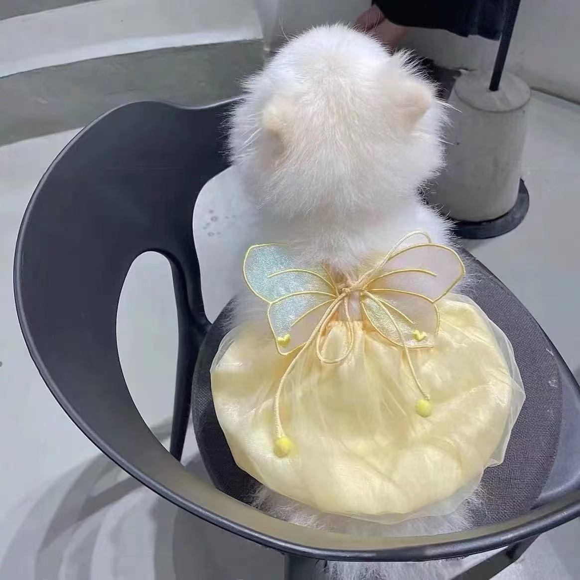 T00242Sparkling Wings Skirt Pomeranian Maltese Bichon Yorkshire West Highland Pet Clothing
