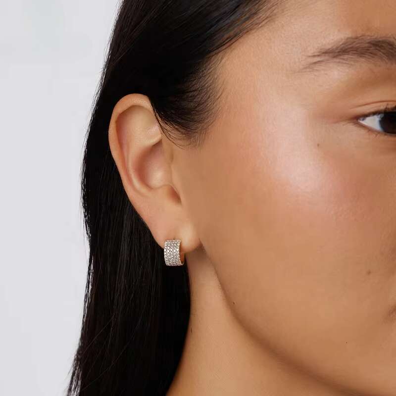 Fashionable sterling sier exquisite jewelry, women's gold-plated zircon bridal earrings, girls' earrings