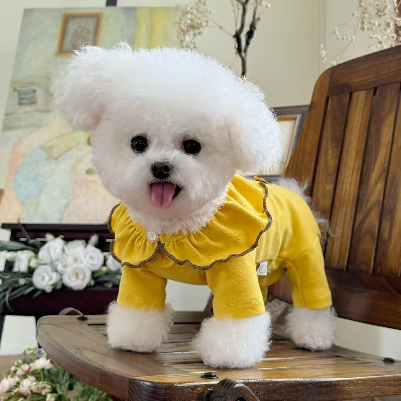 T00243 Dog clothes spring and autumn thin pet four-legged overalls Teddy Pomeranian Bichon Poodle puppy traction jumpsuit
