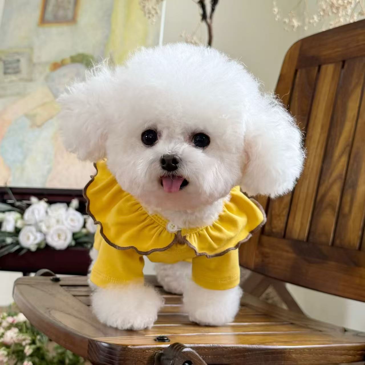 T00243 Dog clothes spring and autumn thin pet four-legged overalls Teddy Pomeranian Bichon Poodle puppy traction jumpsuit
