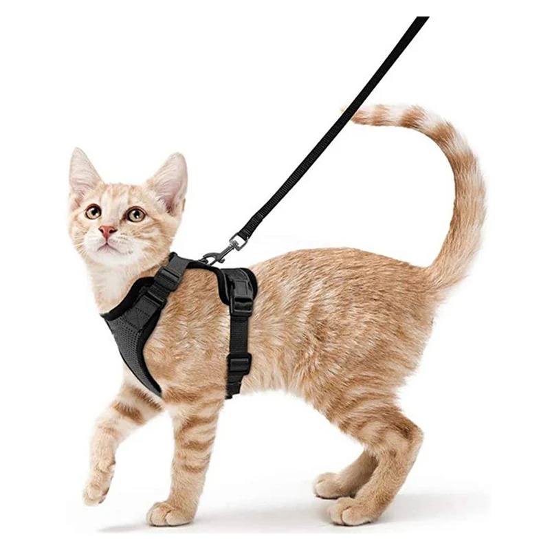 Cat Harness and Leash for Walking, Escape Proof Soft Adjustable Vest Harnesses for Cats, Easy Control