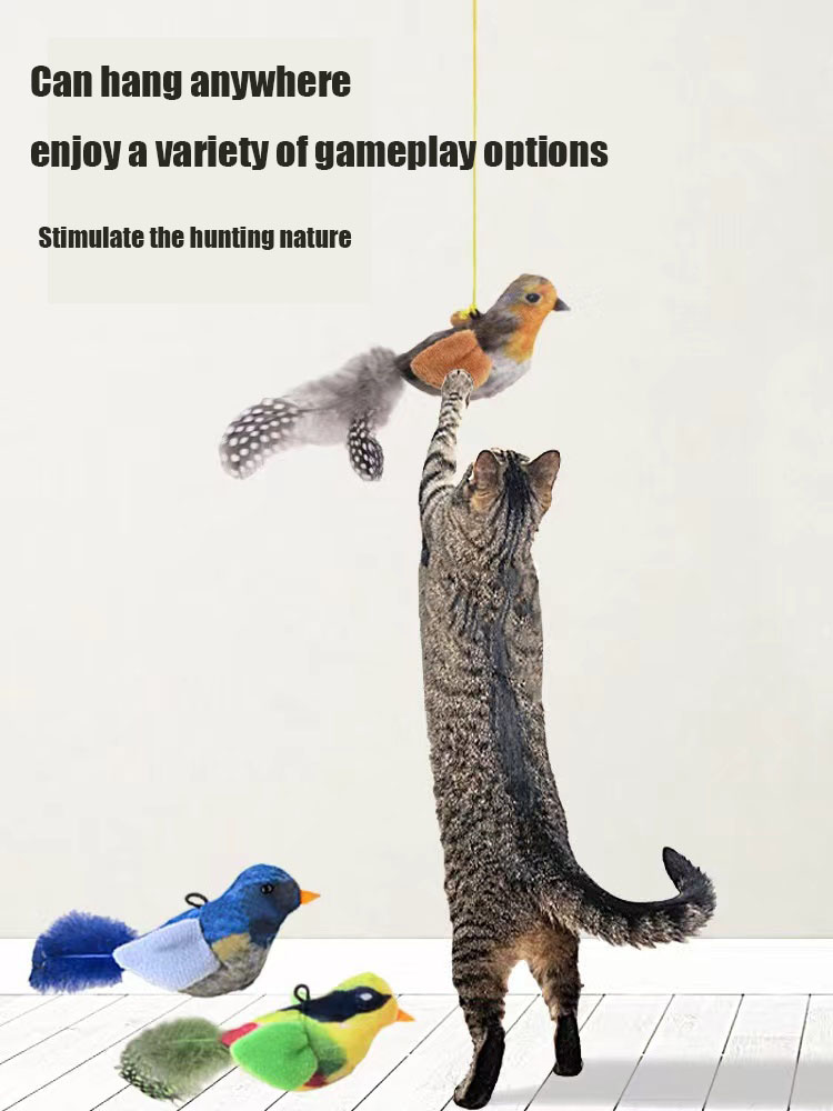 GiGwi is a cat toy that helps cats relax and enjoy themselves. It simulates the sounds of birds and can call pets Electric toys