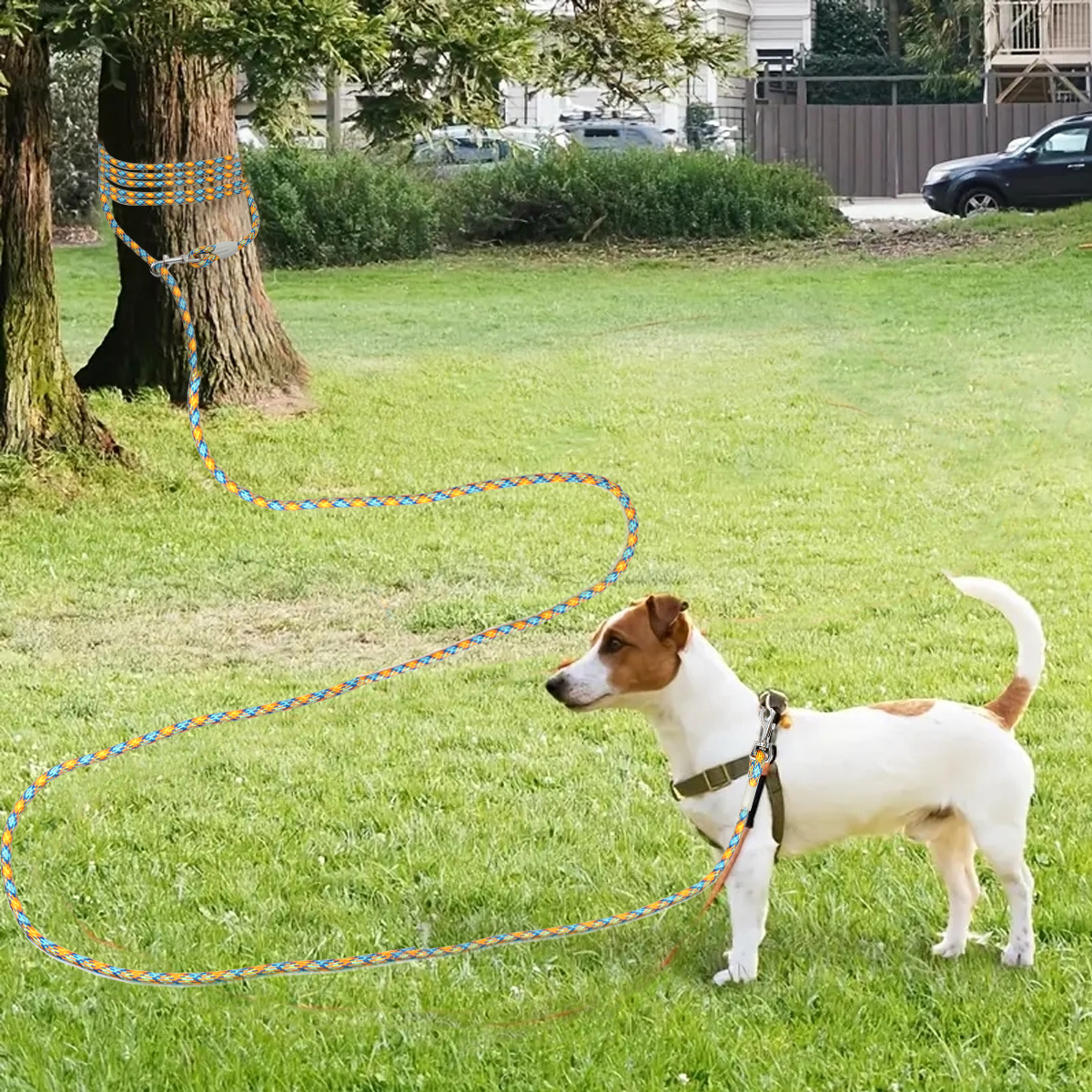 5m/10m/20m Small Leashes Strong Puppy Lead Rope & Cat Durable Nylon Long Walking Dog Leash Chihuahua Poodle Pet Supplies