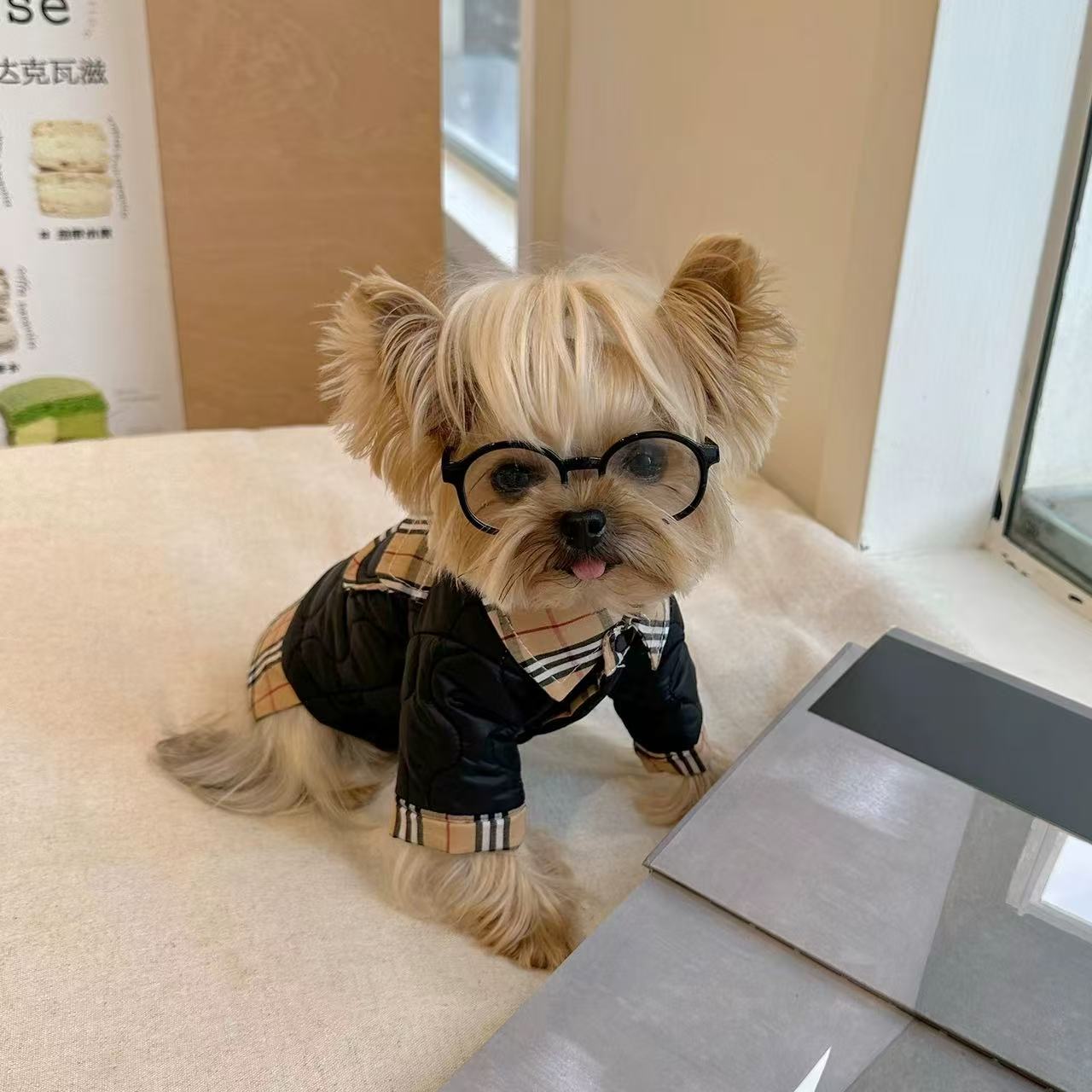 T00262 Pet clothes Yorkshire Maltese autumn and winter simple casual thick warm coat clothes