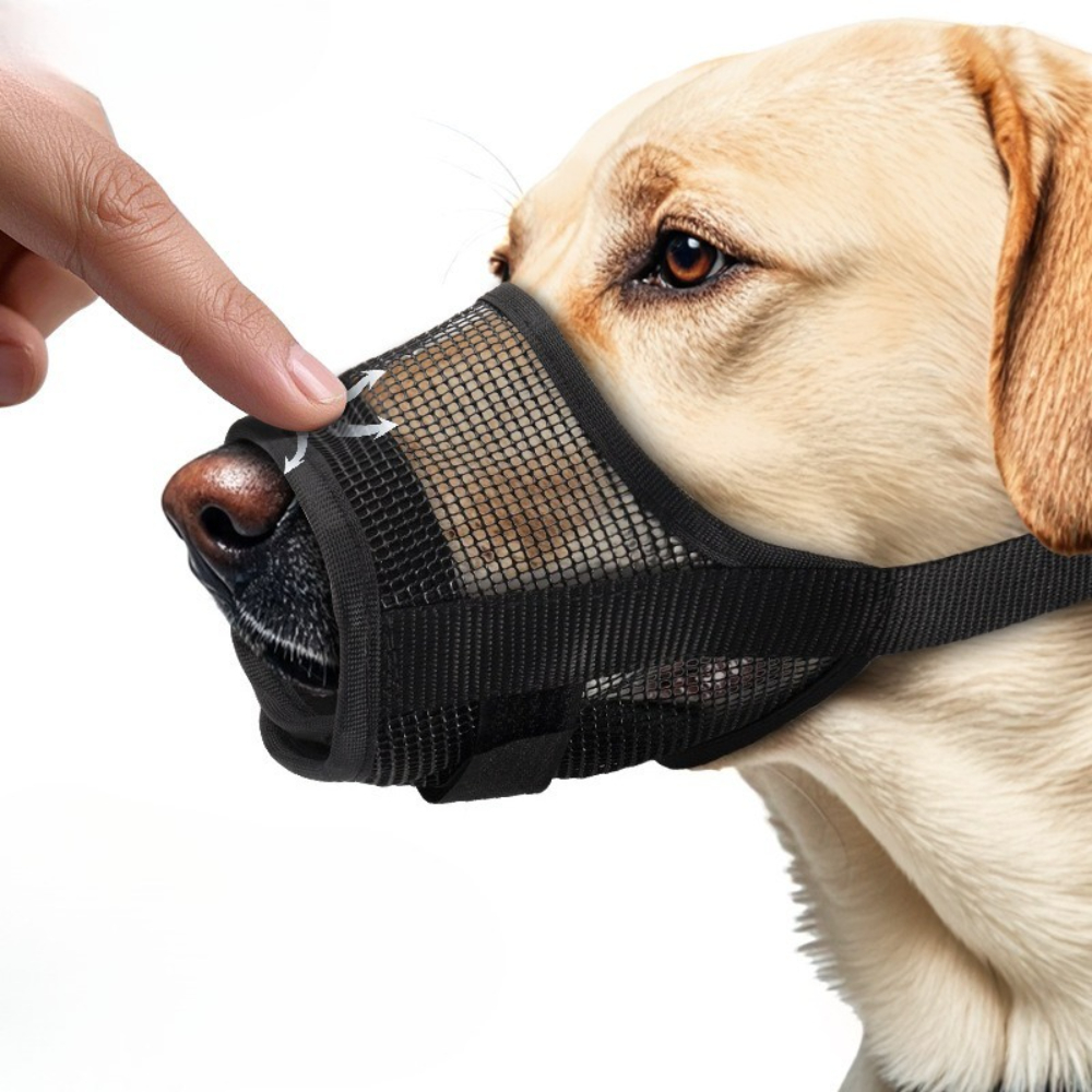 Adjustable Muzzle for Small Medium Large Dogs Summer Mesh Breathable Dog Mouth Cover Anti-bite Anti-bark Pet Supplies