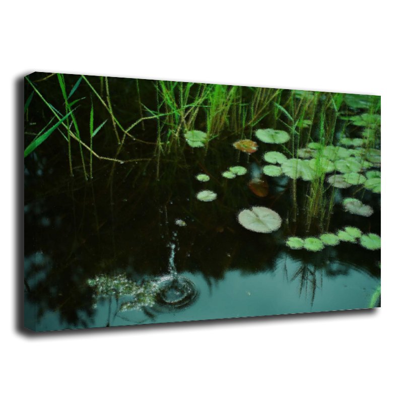 Designer canvas painting Painting 1 Unframe-style Canvas Prints Wall Painting Wall Art Decor Print Picture Paintings for Living Room