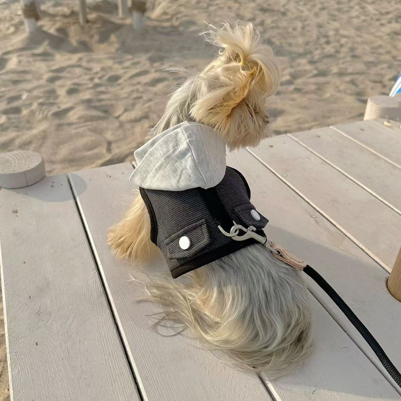 T00260 Xiaotianzhou pet clothes outdoor dog walking traction vest denim hooded chest harness Yorkshire dog clothes