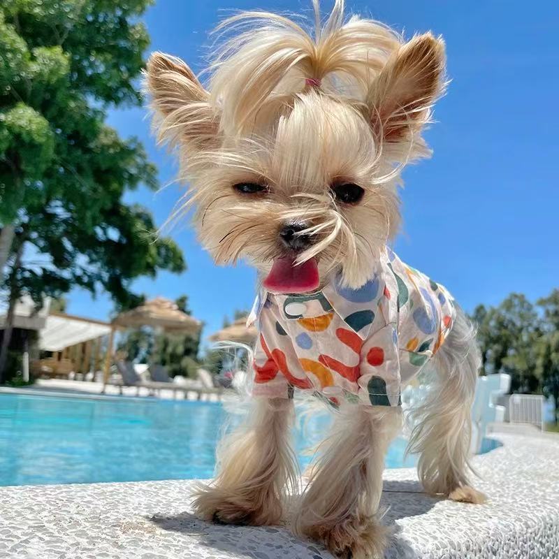 T00270 Pet clothes sleeveless contrast color POLO vest elastic breathable thin Yorkshire Maltese dog clothes