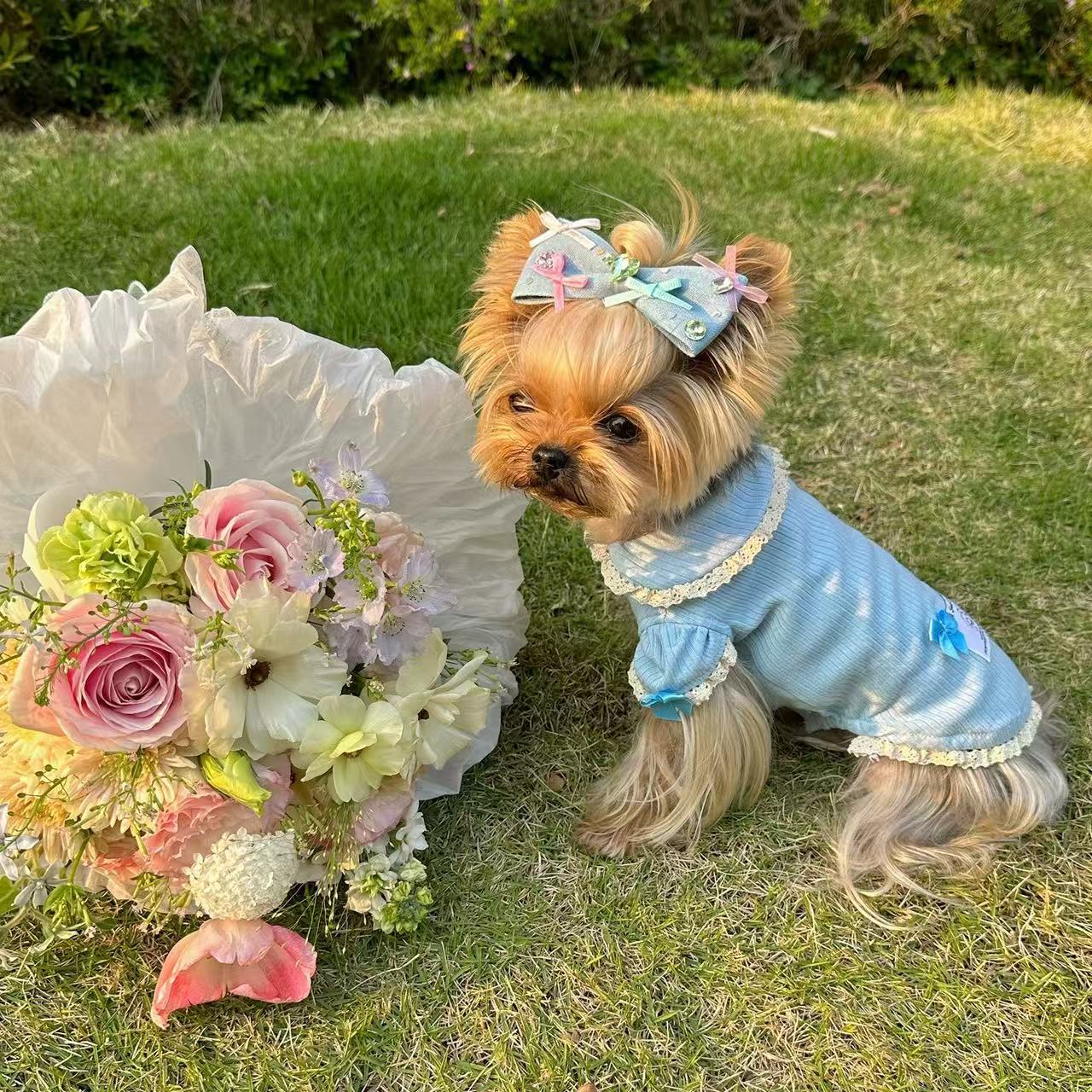 T00269 Pet Clothes Yorkshire Maltese Sleeveless Shirt Small Dogs Dogs Cats Simple Plaid Clothes