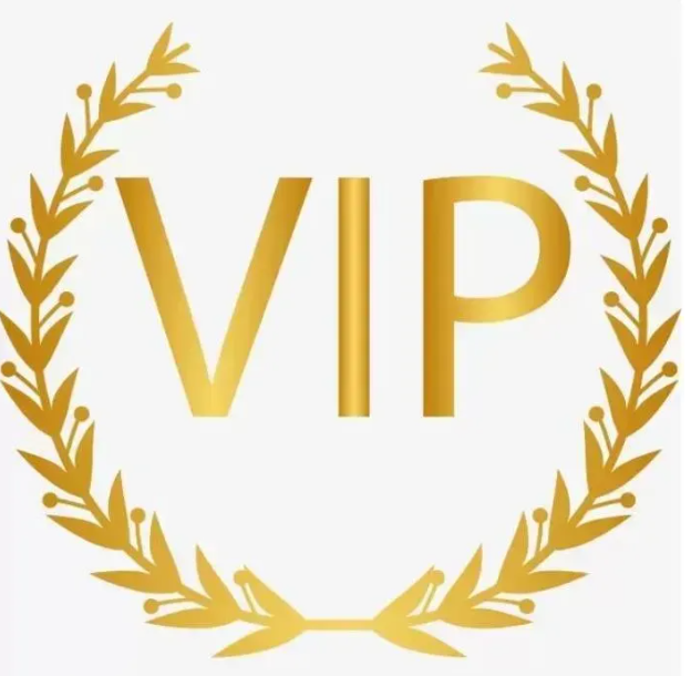 2025 For Vip Customer Payment Link Through Dhgate