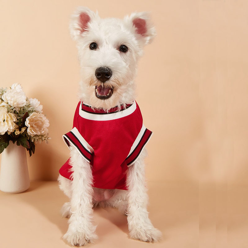 Schnauzer Teddy Mesh Breathable Dog Clothes Sport Large Dog Jersey Basketball Clothing Puppy T-Shirts Summer Pet Cat Shirts 4 colors