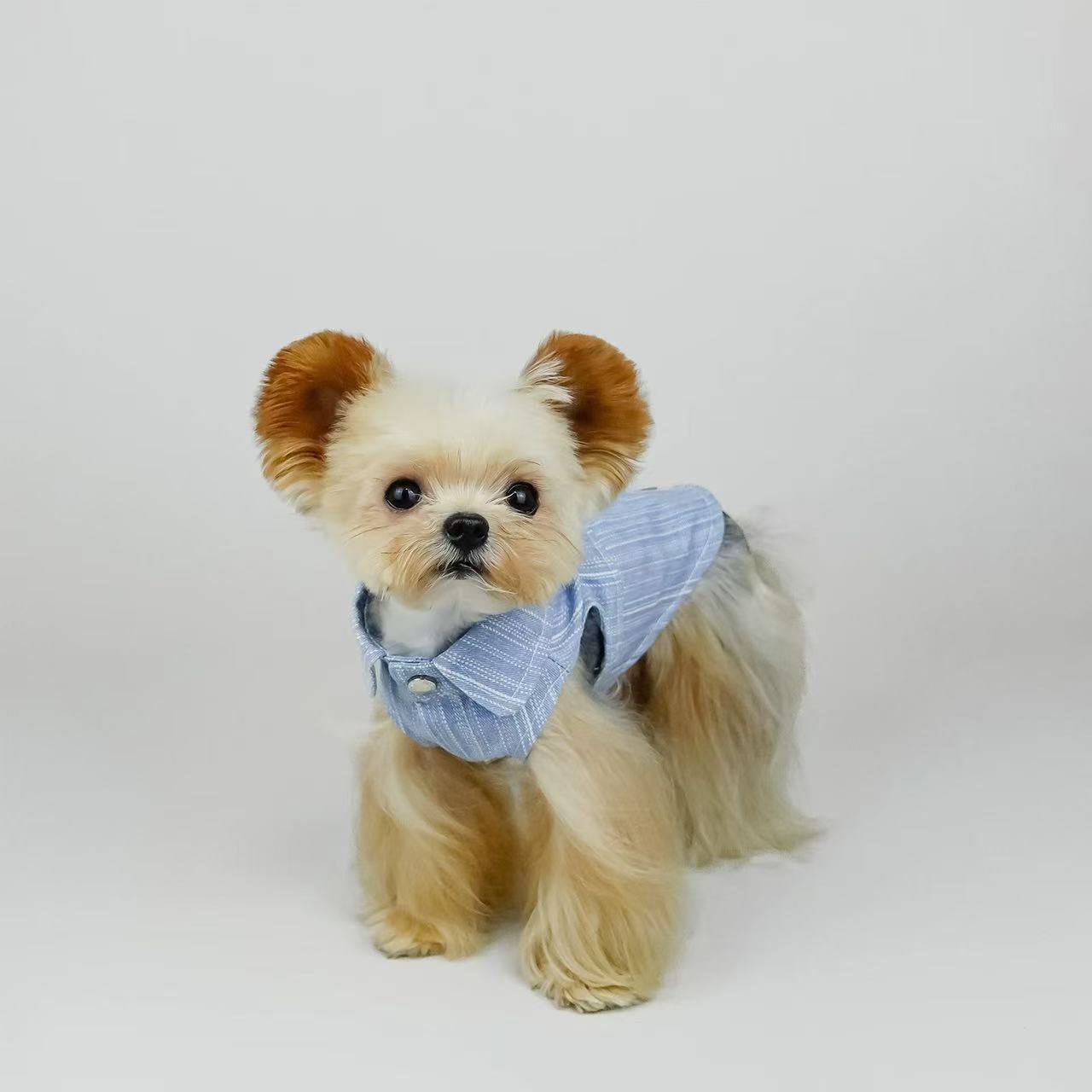 T00263 Xiaotianzhou pet clothes love grid shirt Yorkshire terrier Maltese Teddy small dog pet clothes