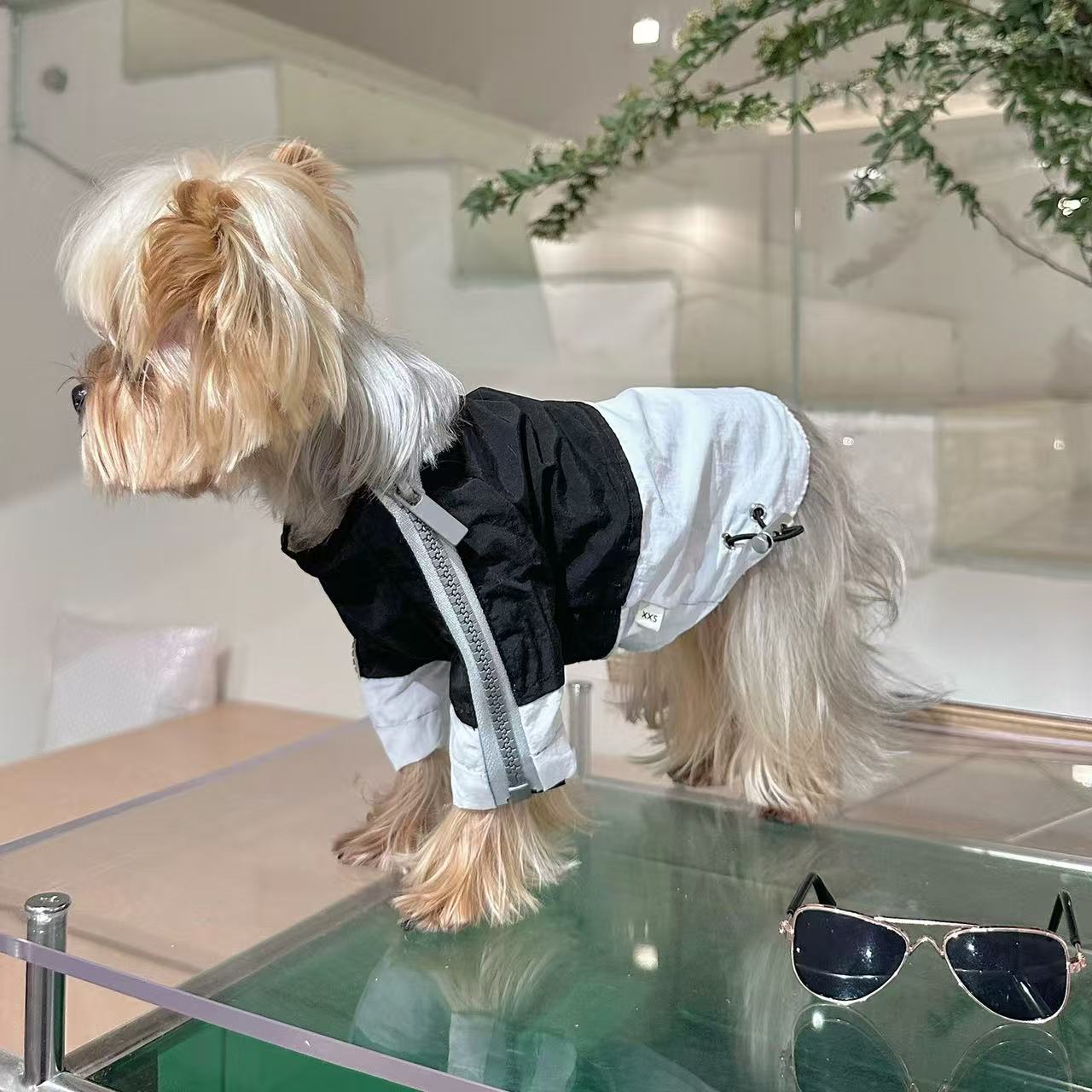 T00264 Pet clothes dog T-shirt original custom contrast color light and comfortable breathable Yorkshire Maltese