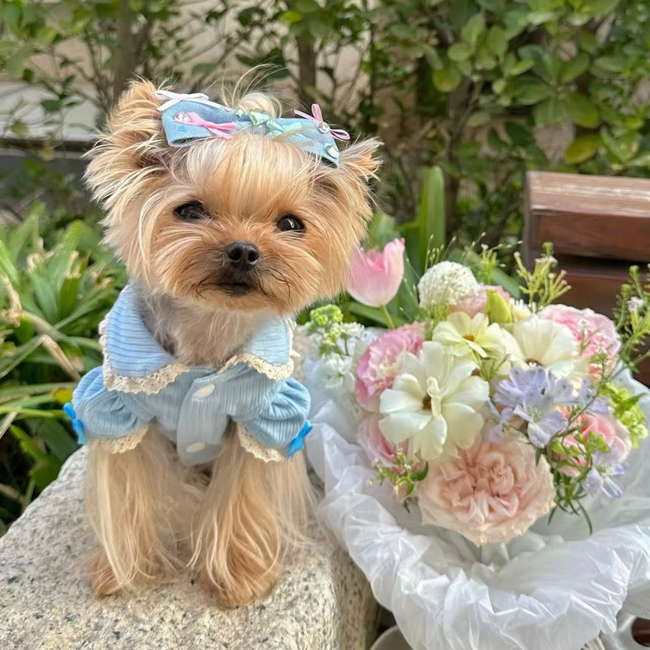 T00269 Pet Clothes Yorkshire Maltese Sleeveless Shirt Small Dogs Dogs Cats Simple Plaid Clothes