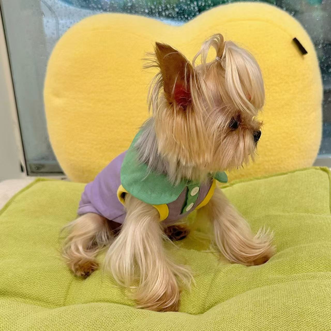 T00274 Xiaotianzhou pet clothes autumn and winter lace lamb fleece warm two-legged skirt Yorkshire Maltese pet clothes