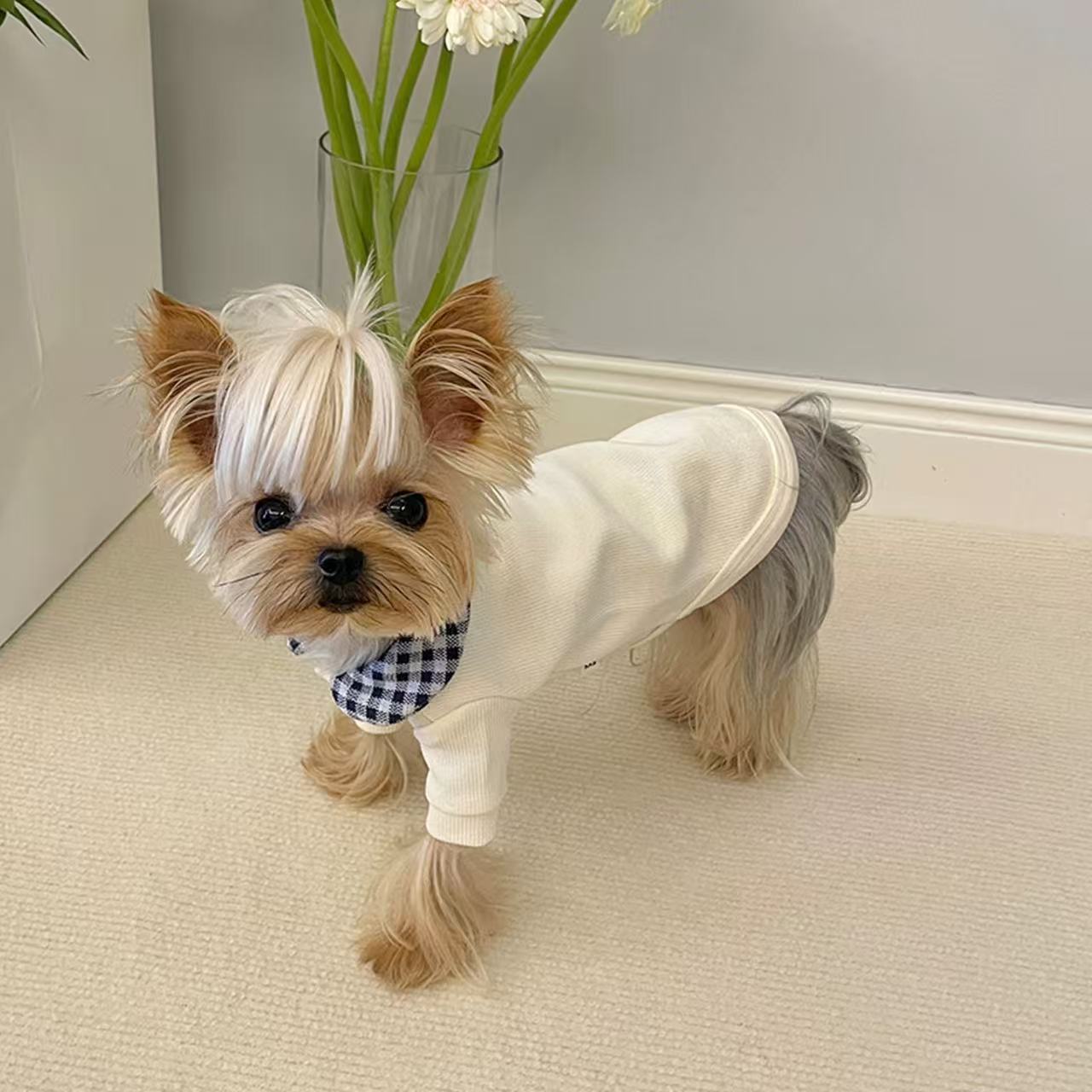 T00279 Spring and Summer Dog Clothes Shirt Pet Teddy Schnauzer Maltese Bichon Pomeranian Yorkshire Shiba Inu Cat