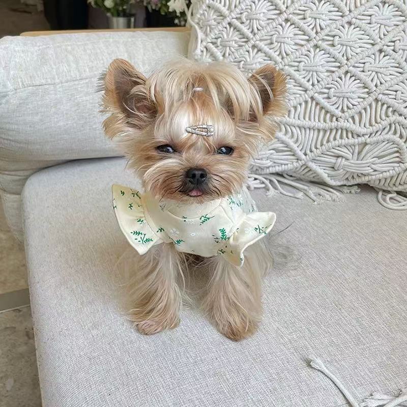 T00277 Xiao Tianzhou pet doll collar polo shirt autumn style Yorkshire Maltese dog cat pet clothes