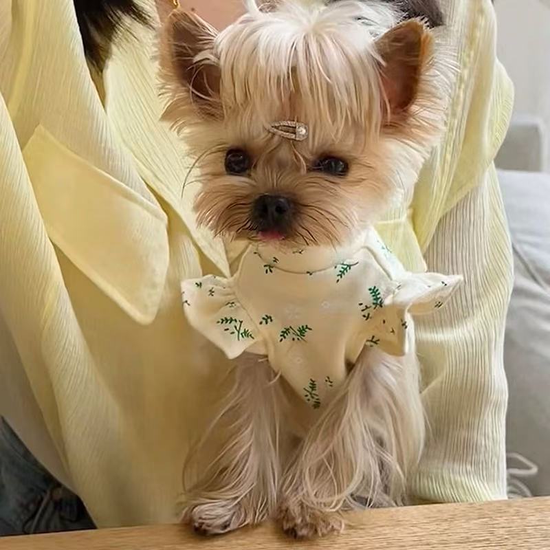 T00276 Xiaotianzhou pure cotton POLO shirt Yorkshire Maltese dog cat pet texture