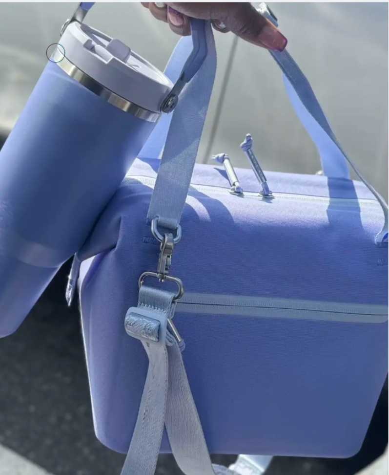 All Day Julienne Mini Soft Cooler Lunch Bag Box Recycled Polyester Cooler 12-Hour Cooling Travel Cooler Bags US STOCK 2305G