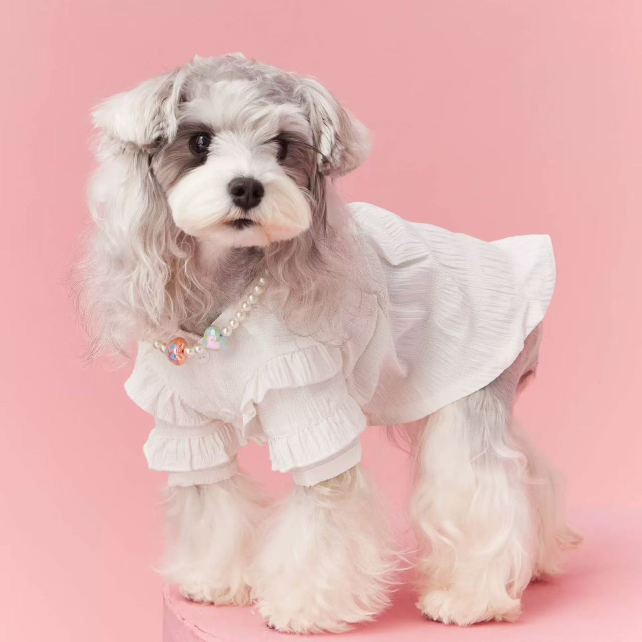 T00282 Autumn and winter dog clothes inner sweater pet Schnauzer Teddy Bichon Yorkshire Terrier Maltese Pomeranian Shiba Inu