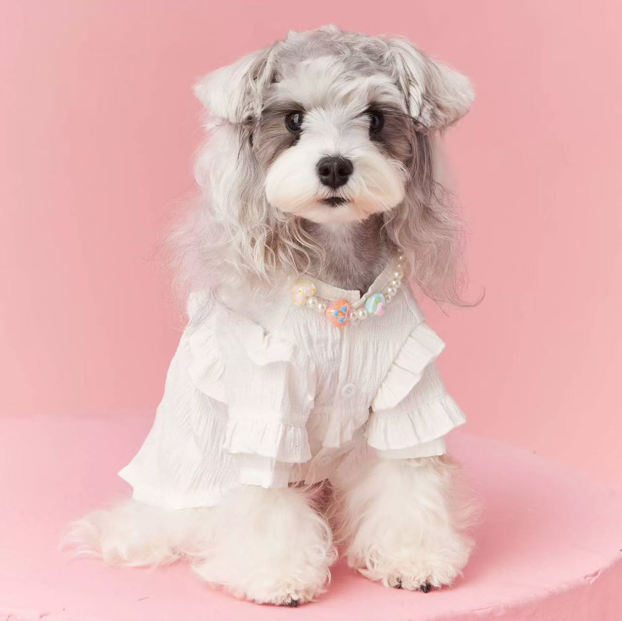 T00282 Autumn and winter dog clothes inner sweater pet Schnauzer Teddy Bichon Yorkshire Terrier Maltese Pomeranian Shiba Inu